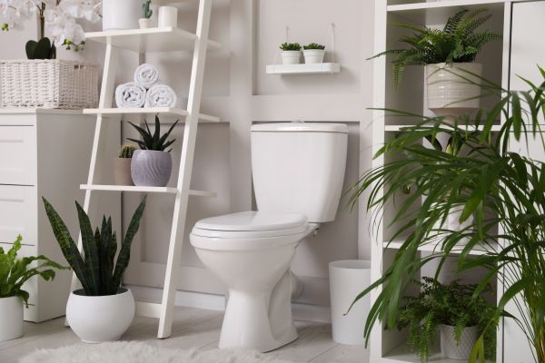 Toilet Repair in Lima