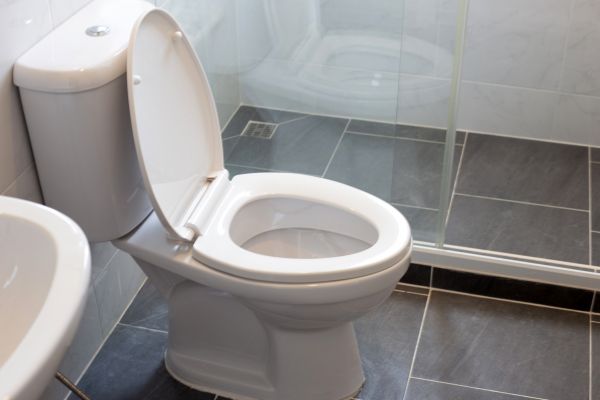 Toilet Replacement in Lima